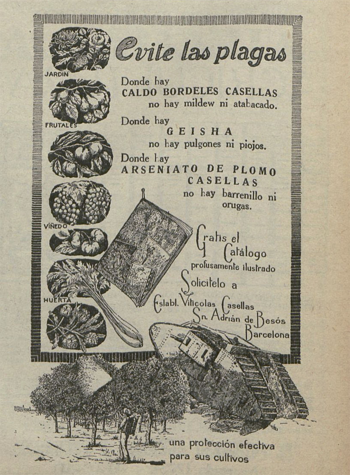 Anuncio de plaguicidas de la primera mitad del siglo XX Anuncio de plaguicidas de la primera mitad del siglo XX